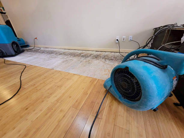 Professional Sewage Cleanup technician working in Terry, MS